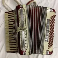 2025年最新】アコーディオン 41鍵盤の人気アイテム - メルカリ