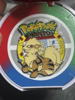 ポケパーク カントー リザードン ピンバッジ - メルカリ