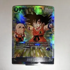 Item thumbnail for item e7d9a3ad-06aa-429e-8c8f-f3798797f5d9