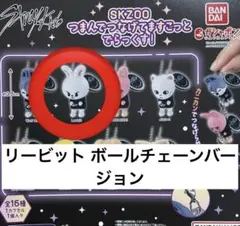 SKZOO つまんでつなげてますこっと でらっくす！リービット