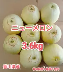 ニューメロン 約3.6kg　甘い　香川県産　栽培期間中農薬無しのサムネイル