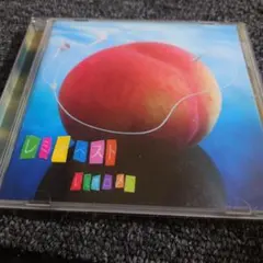 1166 レミオベスト 帯付き