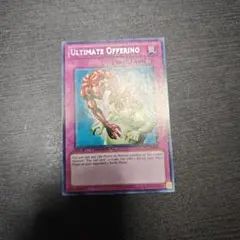 血の代償　米DT