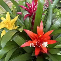 【No.a101】天然石チャーム