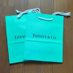 Tiffany & Co. ショップ袋 2枚セットのサムネイル