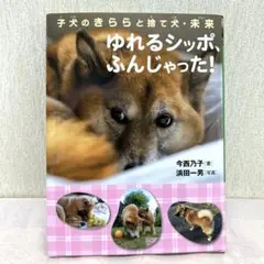 ゆれるシッポ、ふんじゃった! 子犬のきららと捨て犬・未来