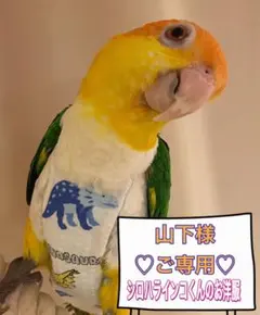 Item thumbnail for item 1f3edcd4-b170-4f8a-a591-ae4c4e39aacc