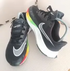 Nike AIR ZOOM RIVAL FLY 3 CT2405 24.5cm