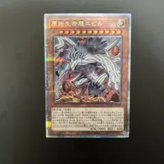 2025年最新】ニビル 25th 絵違いの人気アイテム - メルカリ