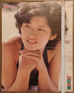 羽田美智子 資生堂 プルミエ 当時物 激レア 非売品 横断幕 店頭用