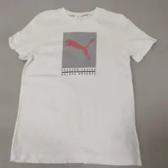 【最終値下げ】PUMA Tシャツ 160 ホワイト 半袖 ロゴプリントのサムネイル