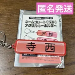オリックスバファローズ 寺西選手 パワプロネームプレートキーホルダー
