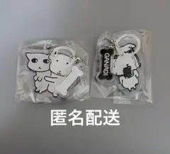 【匿名配送】GANADI ガナディ アクリルマーカーチャーム　2種セット