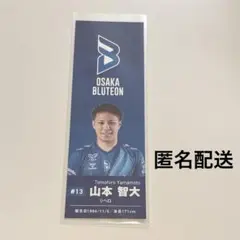 2026年最新】山本智大 大阪ブルテオンの人気アイテム - メルカリ