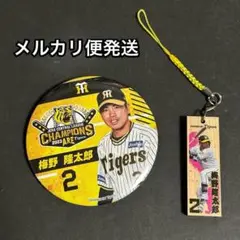 阪神タイガース⭐️くじ 缶バッジ & 選手ミニ木札 梅野選手