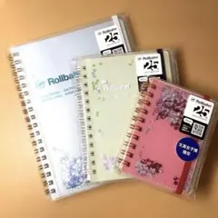 ロルバーン 文具女子博 限定 グリッター フレキシブル ラメ セット