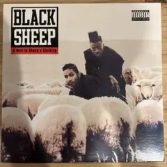 BLACK SHEEP-TRY COUNTING SHEEP( 12