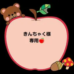 きんちゃく様専用です!