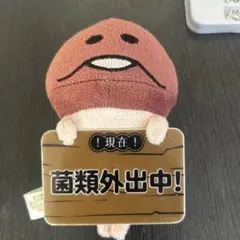 なめこ栽培キット おさわり探偵