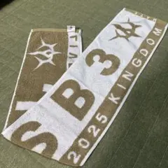 三代目 2025 KINGDOM マフラータオル