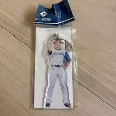 北海道日本ハムファイターズ 松本剛 アクリルキーホルダー