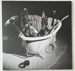 限定2LP レコード 椎名林檎 ＋ 斉藤ネコ / 平成風俗