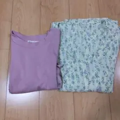 マジェスティックレゴン 2点セット