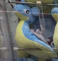 ラプラス ぬいぐるみ 大きめ