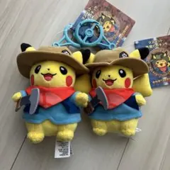 発掘ピカチュウ マスコット ポケモン化石博物館