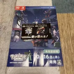 色違い　ミライドン　コライドン