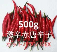 激辛赤唐辛子❗ 500g 農薬を使わない農家直送のサムネイル