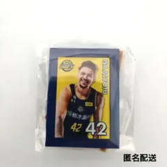 宇都宮ブレックス　2025-26選手ミニチュアアートイーゼル　アイザック選手