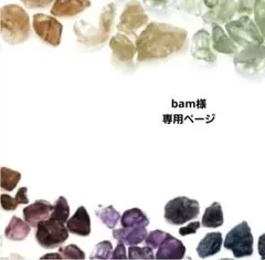 bam様専用ページです！