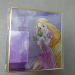 ディズニーストア　クリア色紙　ラプンツェル2