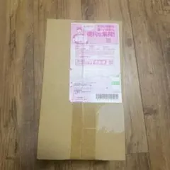 【未開封】 2025スペシャルBOX ポケモンセンタートウホク　再抽選分