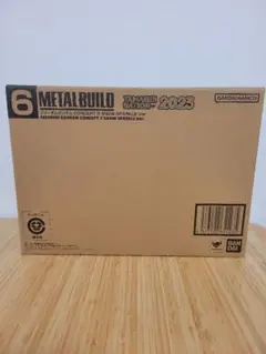 METAL BUILD フリーダムガンダムコンセプト2スノースパークルVer.