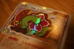 【ポケモンカード】超貴重！2006年　ヒトカゲ　δデルタ種　プロモ　神イラスト ポケモンカード】超貴重！2006年 ヒトカゲ δデルタ種 プロモ 神