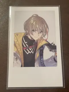 にじさんじ 風楽奏斗 Standard Goods Vol.4 チェキ