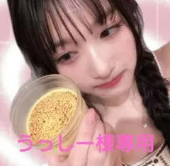 うっしー様専用ページ