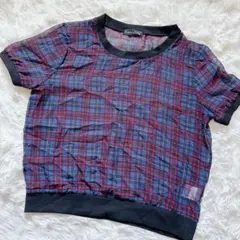 【美品】 Sorridere 半袖 チェック柄 シアー カットソー シースルーのサムネイル