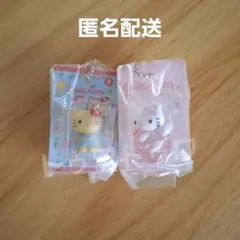 HELLO KITTY パッケージミニチュアコレクション　2個セット