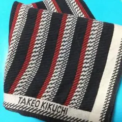 TAKEO KIKUCHI ストライプ ハンカチ