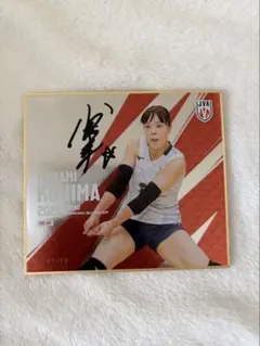 バレーボール女子日本代表 2026 トレーディングmini色紙 石川真佑