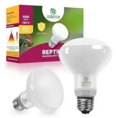 Item thumbnail for item 5da39329-1884-410e-a04b-8704946b2978