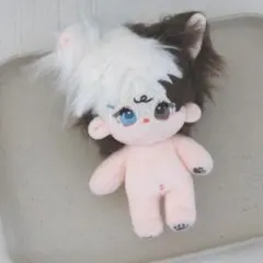 Stray Kids アイエン スキズ マスター ぬいぐるみ - メルカリ