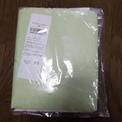 Item thumbnail for item 8d944a95-adaf-469d-a099-93ef26f31408