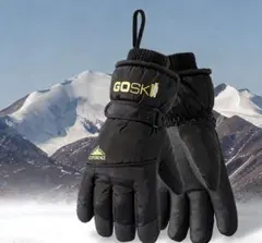 Item thumbnail for item 4267e16c-aae3-4010-9570-02ea5189828d