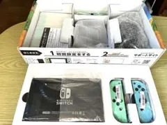 Nintendo Switch あつまれ どうぶつの森デザイン　周辺機器付き