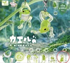 カエルのMineチャーム ガチャ カエル マスコット 足ぶらさがり
