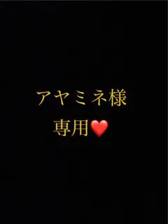 アヤミネ様 リクエスト 2点 まとめ商品